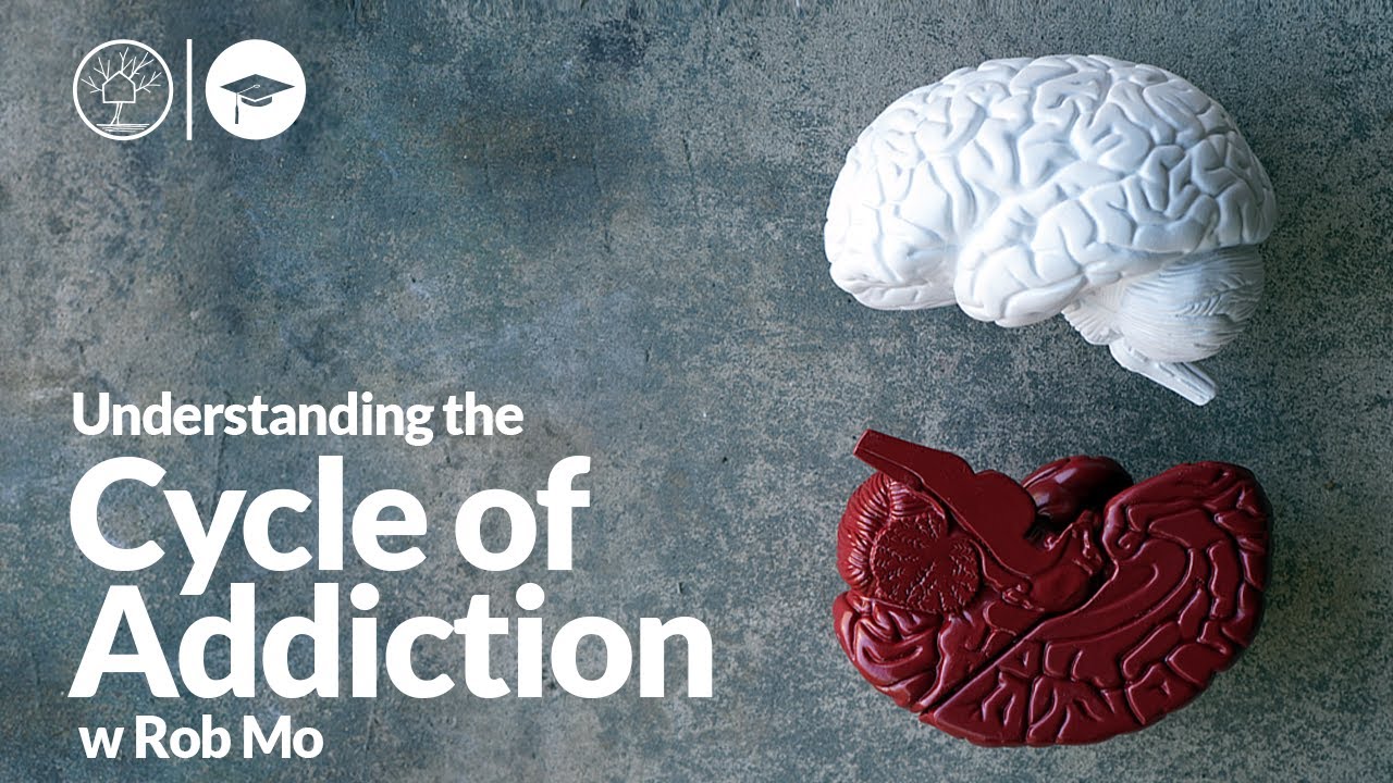 Why do I relapse, the cycle of addiction